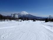 Leichte und breite Piste am Niseko Village