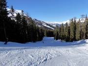 Talabfahrt Schöneben