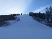 Weltcupabfahrt Hannes Trinkl