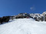 Schwere Abfahrt Rudy's Alley