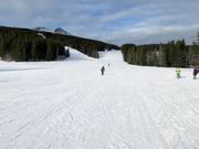 Leichte Piste zur Nakiska Day Lodge