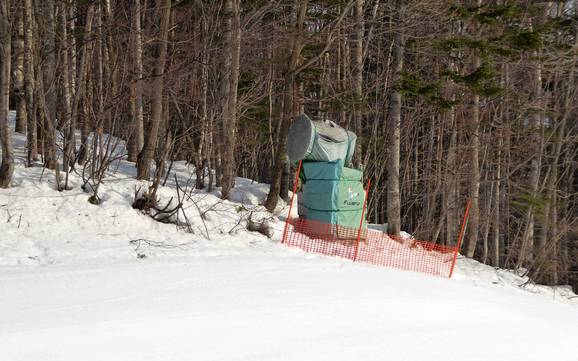 Schneesicherheit Prince Snow Resorts – Schneesicherheit Furano