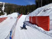 Rodelbahn (Brimi Winter Run) am Gitschberg