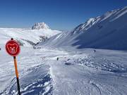 Kogel-Mogel Wellenbahn