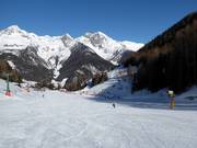 Leichte Piste am Almboden