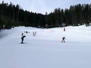 Anfängerwiese Holzstube