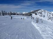 Leichte Weitmoosabfahrt auf der Planai