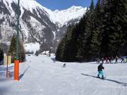 Leichte Piste am Köfelelift I