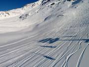 Viel Platz für Freerider