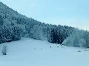 Blick auf die Piste an Wanklift I