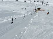 Kaserboden - Seillift/Babylift mit niederer Seilführung