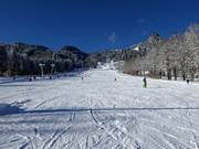 Die Übungspiste am Draxlhang