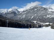 Leichte Piste Stringer