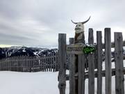 Hinweis zum Schutz des Waldes im Burton the Stash