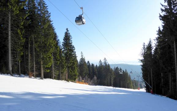 Skifahren in Janské Lázně/Johannisbad