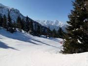 Abfahrt Nr. 2 vom Arbiskogel