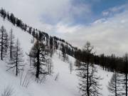 Freeridegebiet etwas oberhalb von Lognan