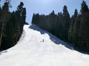 Piste Martinovi baraki 4