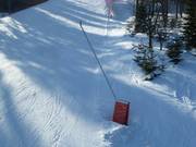 Schneelanzen an der Piste 3 Pařezovka