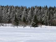 Langlauf in Boží Dar