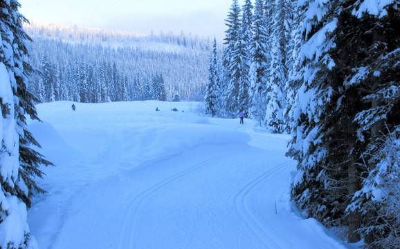 Langlauf Interior Plateau – Langlauf Sun Peaks