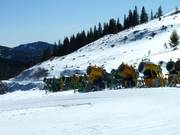 Schneekanonen sind keine Mangelware