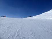 Leichte Piste Nr. 2 Wilder Mann