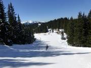 Märchenwiesenabfahrt Planai