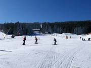 Leichte Piste Pod Zámečkem