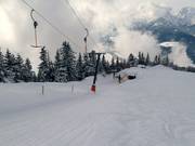 Bockstalllift - Schlepplift mit T-Bügel/Anker