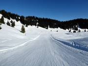 Leichte Familienabfahrt in Grasgehren