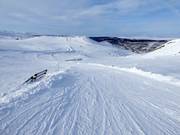 Leichte Piste im Skigebiet Tänndalen