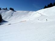 Blick auf die Horngratabfahrt