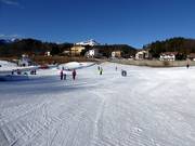Neveland Bertoldi mit Förderbändern