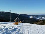 Beschneiung am Predigtstuhl