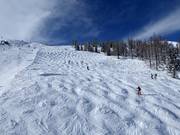 Buckelpiste an der Mitterhausbahn (Planai)