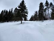 Schwere Buckelpiste am Mont-Sainte-Anne