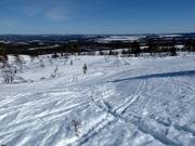 Freier Skiraum/Tiefschneefahren