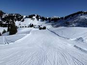 Leichte Piste Hühnerspiel-Lochstafel