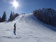Waldfriedenhang auf der Hochwurzen
