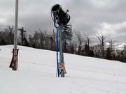 Schneekanone im Snowpark