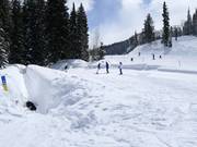 Zauberteppich Solitude