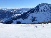 Piste Talkaser in Westendorf