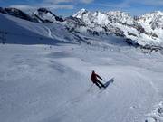 BIG Family Fun Slope