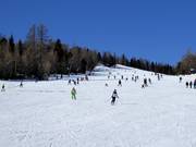 Leichte Zirbenabfahrt