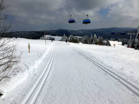 Langlauf Schwarzwald – Langlauf Feldberg – Seebuck/Grafenmatt/Fahl