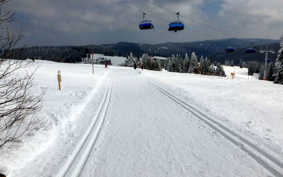 Langlauf Breisgau-Hochschwarzwald – Langlauf Feldberg – Seebuck/Grafenmatt/Fahl