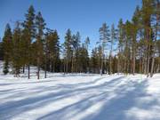 Nachhaltiges Skigebiet Idre Himmelfjäll