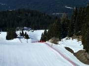 Kaltwasserlift - Schlepplift mit T-Bügel/Anker