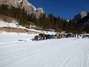Pferdeschlitten am Ende der Lagazuoi-Piste